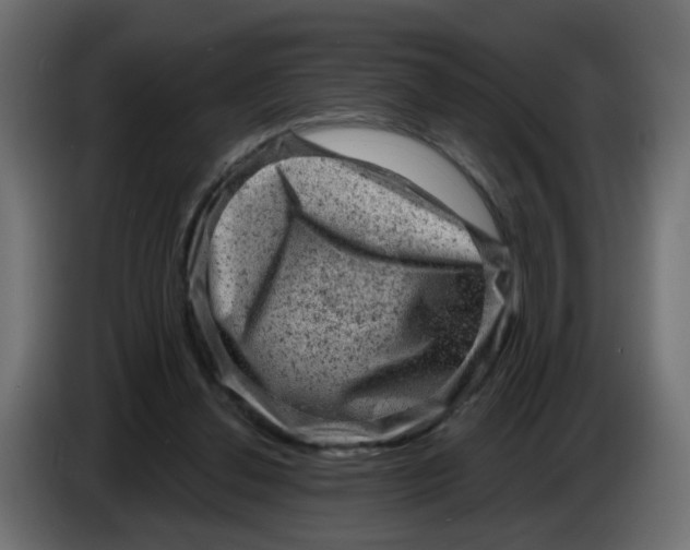 X0000083570252200703021755
