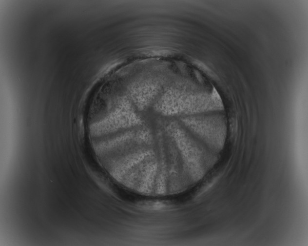 X0000083570254200703021755