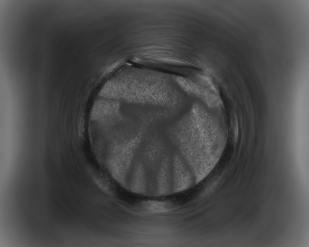 X0000083570255200703021755