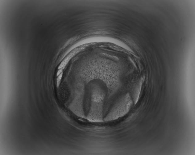 X0000083570256200703021755