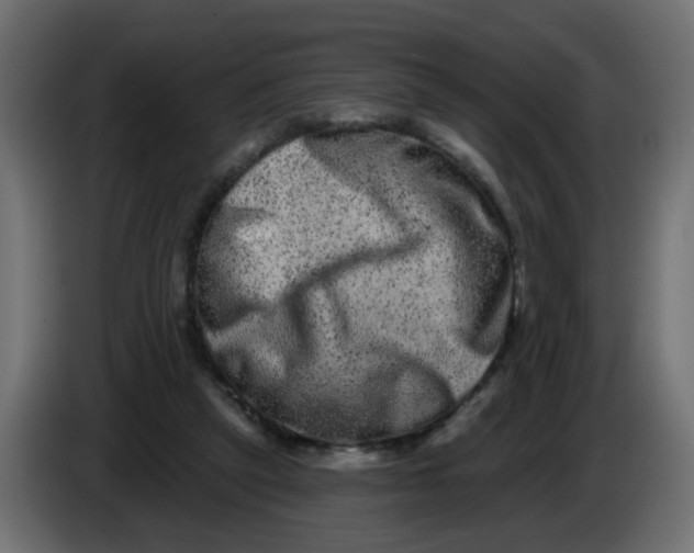 X0000083570257200703021755