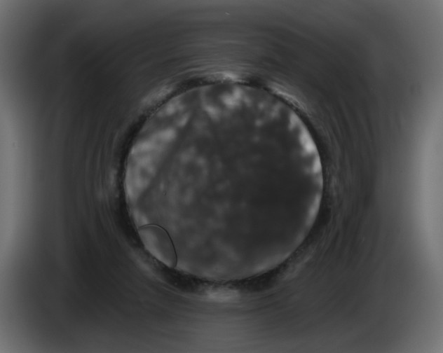 X0000083570258200703021755