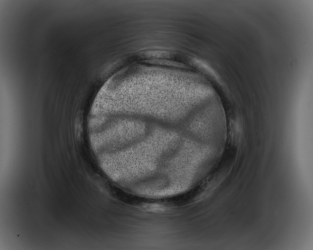 X0000083570259200703021755