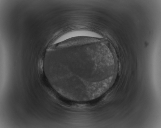 X0000083570260200703021755
