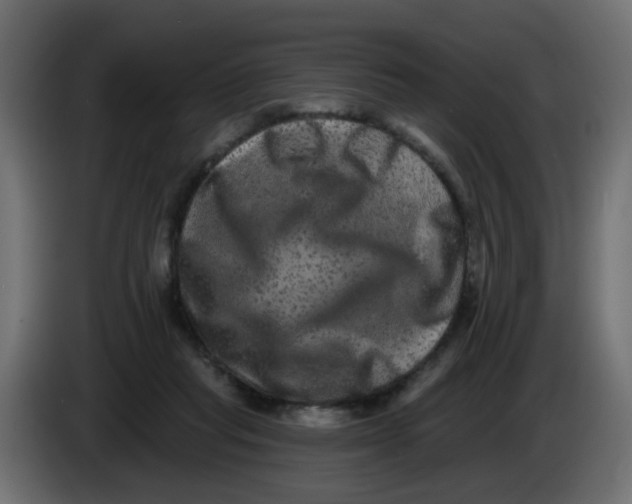 X0000083570261200703021755