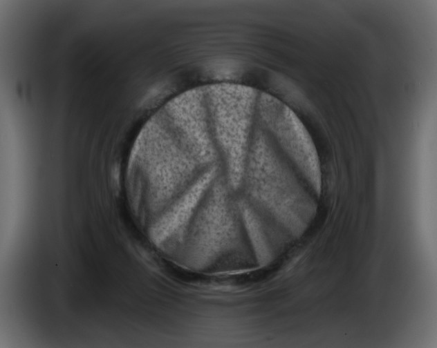 X0000083570262200703021755