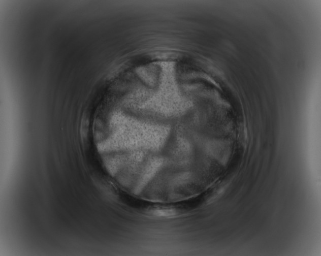 X0000083570263200703021755