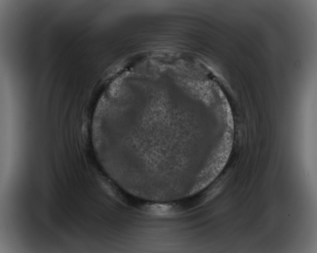 X0000083570265200703021755