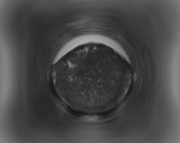 X0000083570266200703021755