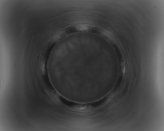 X0000083570267200703021755
