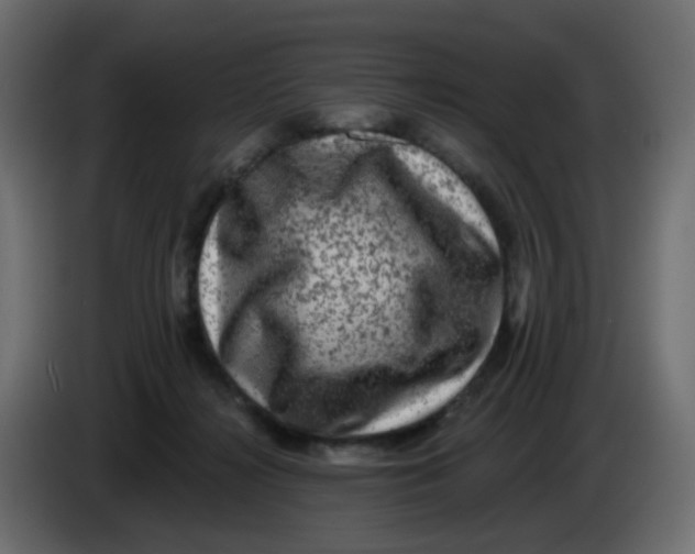 X0000083570268200703021755