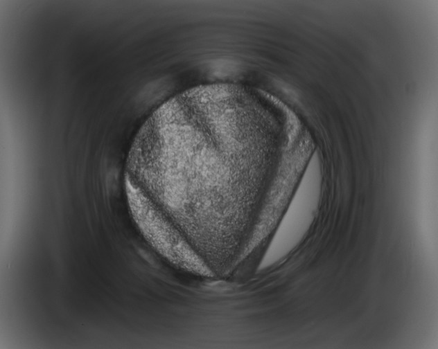 X0000083570269200703021755