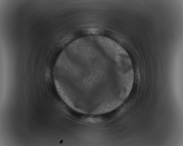 X0000083570270200703021755