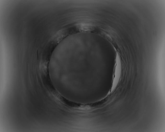 X0000083570271200703021755
