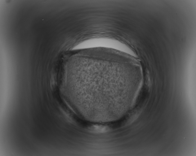 X0000083570272200703021755