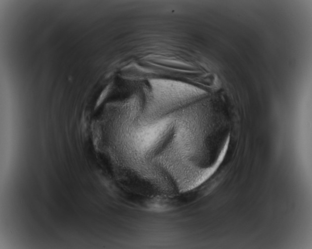 X0000083570273200703021755
