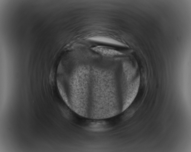 X0000083570274200703021755
