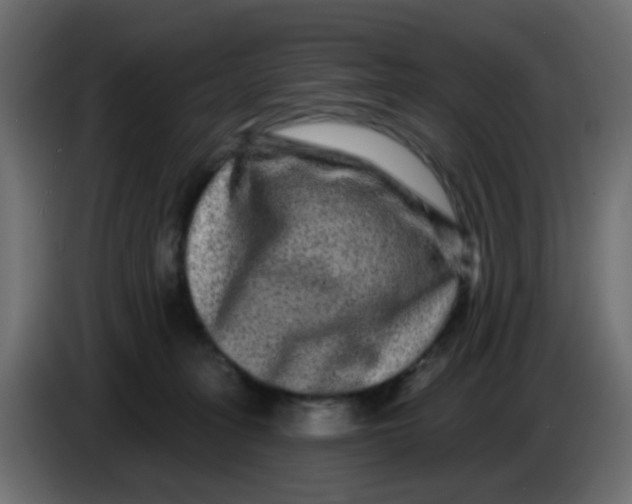 X0000083570275200703021755