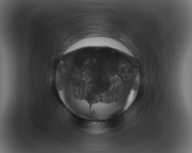 X0000083570277200703021755