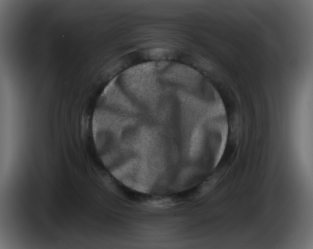 X0000083570278200703021755