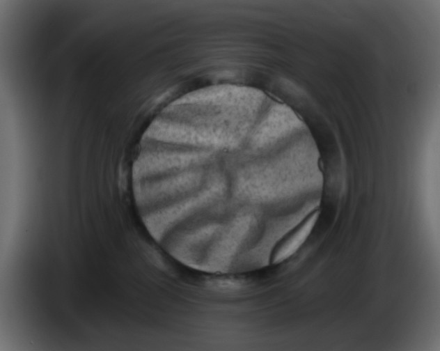X0000083570282200703021755