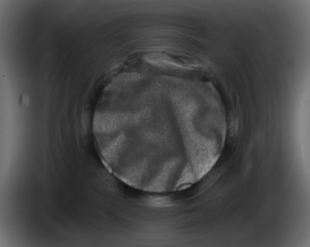 X0000083570283200703021755
