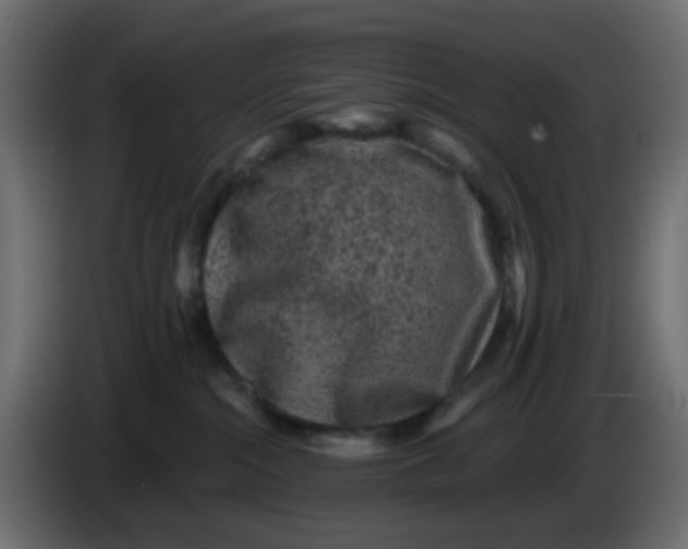 X0000083570284200703021755