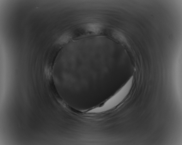 X0000083570285200703021755