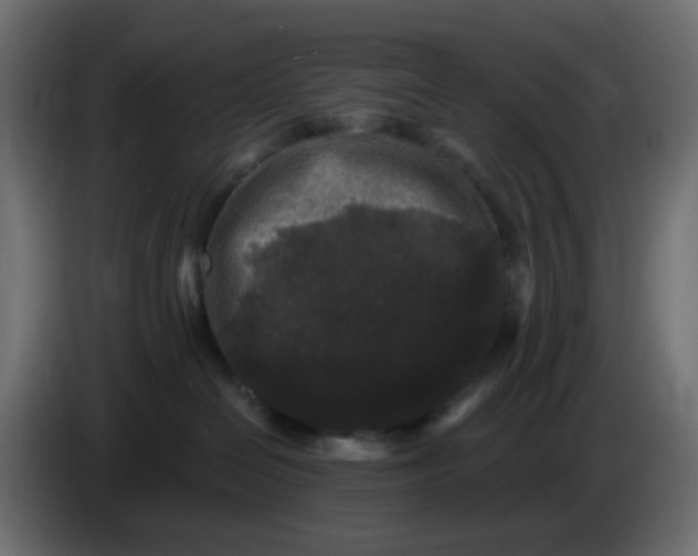 X0000083570286200703021755