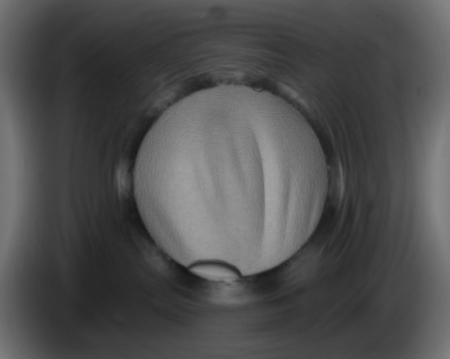 X0000083570287200703021755