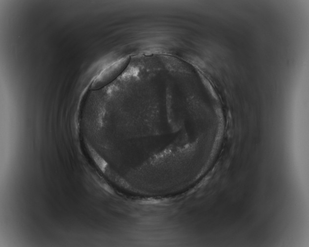 X0000083570290200703021754