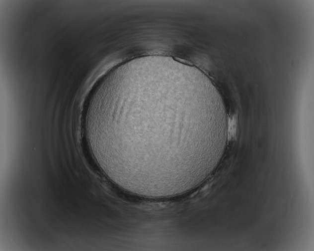 X0000083570291200703021754