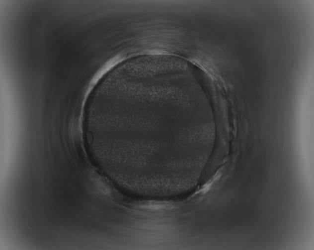 X0000083570292200703021754