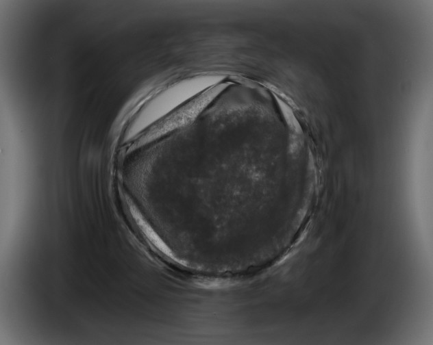 X0000083570293200703021754