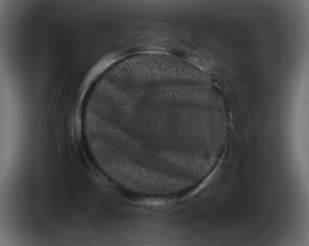 X0000083570294200703021754