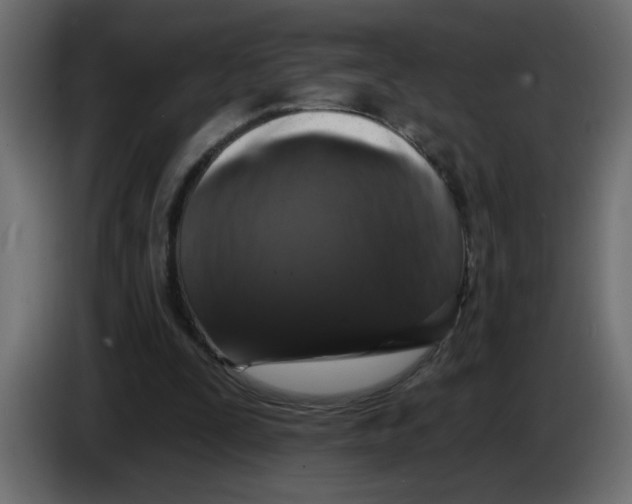 X0000083570295200703021754