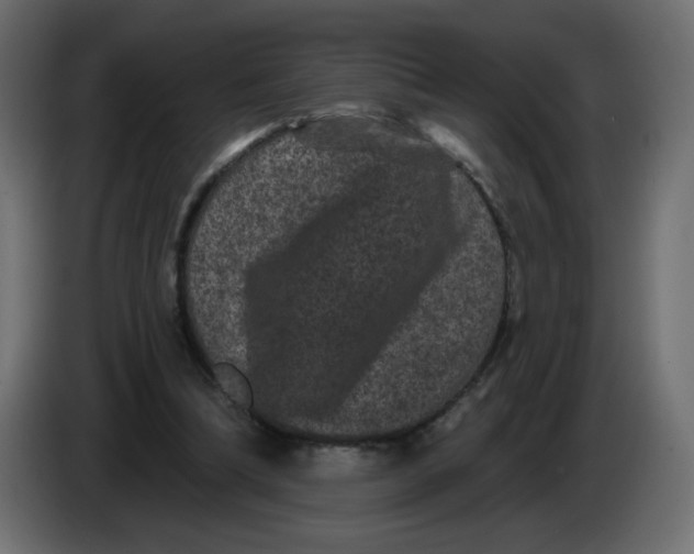 X0000083570298200703021754