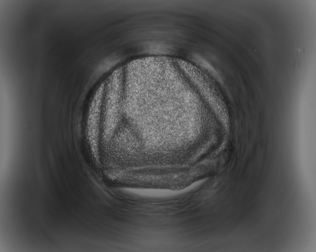 X0000083570299200703021754