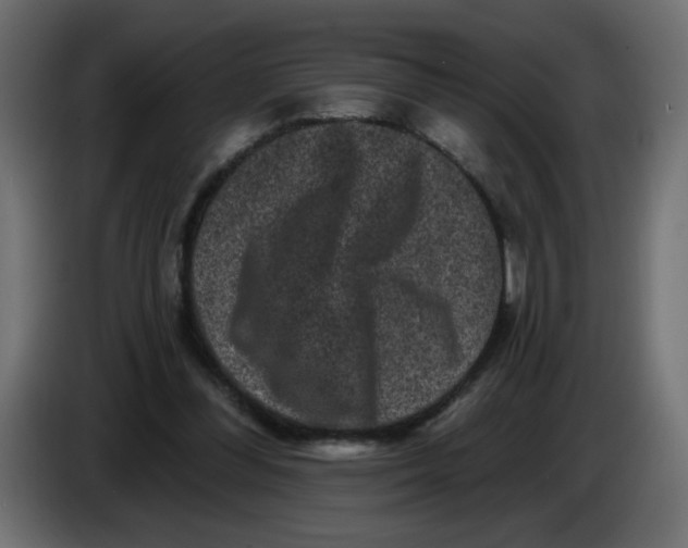 X0000083570300200703021754