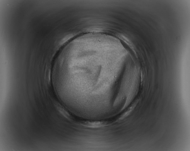 X0000083570301200703021754