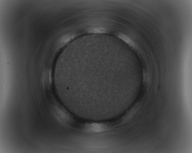 X0000083570302200703021754