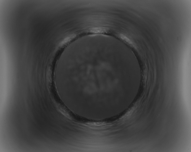 X0000083570303200703021754