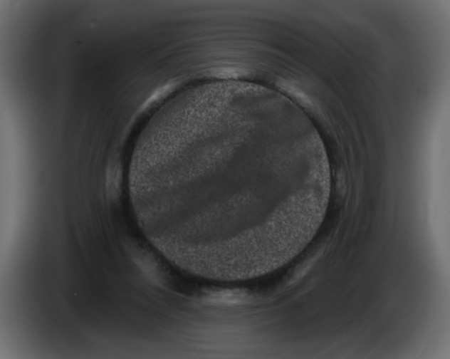 X0000083570304200703021754