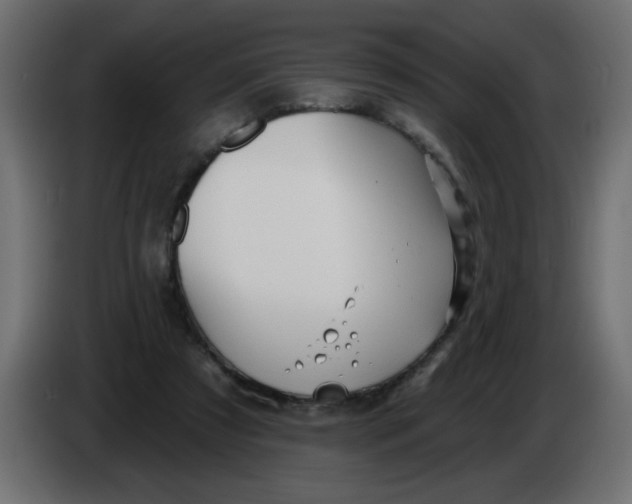 X0000083570305200703021754