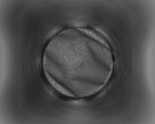 X0000083570306200703021754