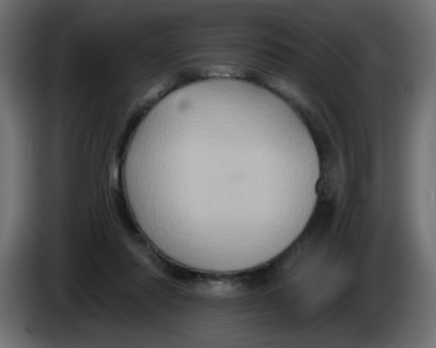 X0000083570310200703021754