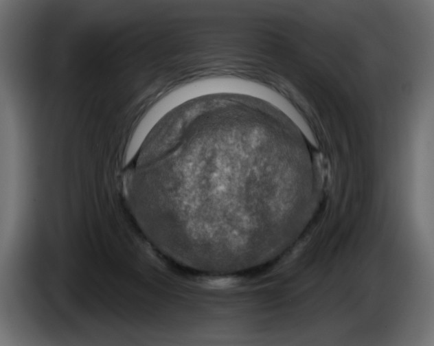 X0000083570313200703021754