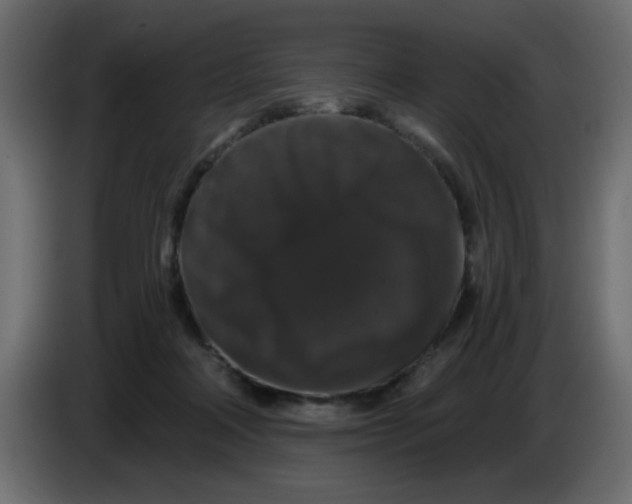 X0000083570314200703021754