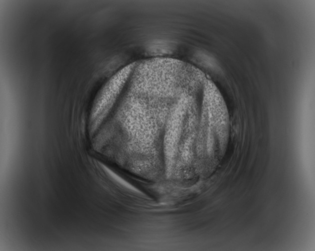 X0000083570315200703021754