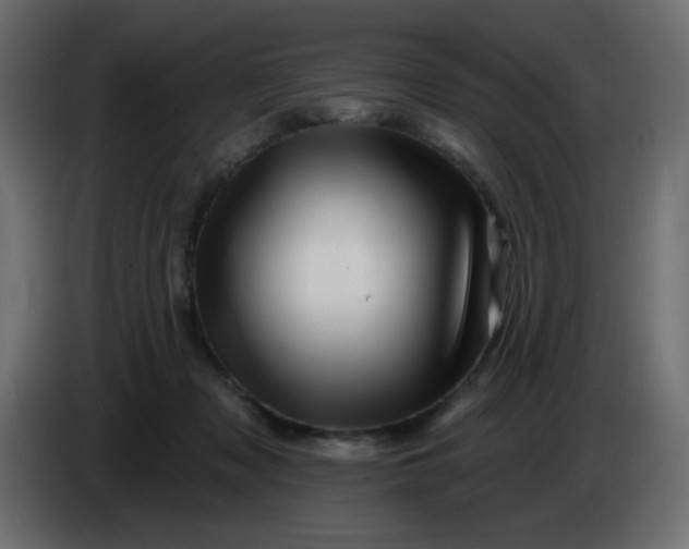 X0000083570317200703021754